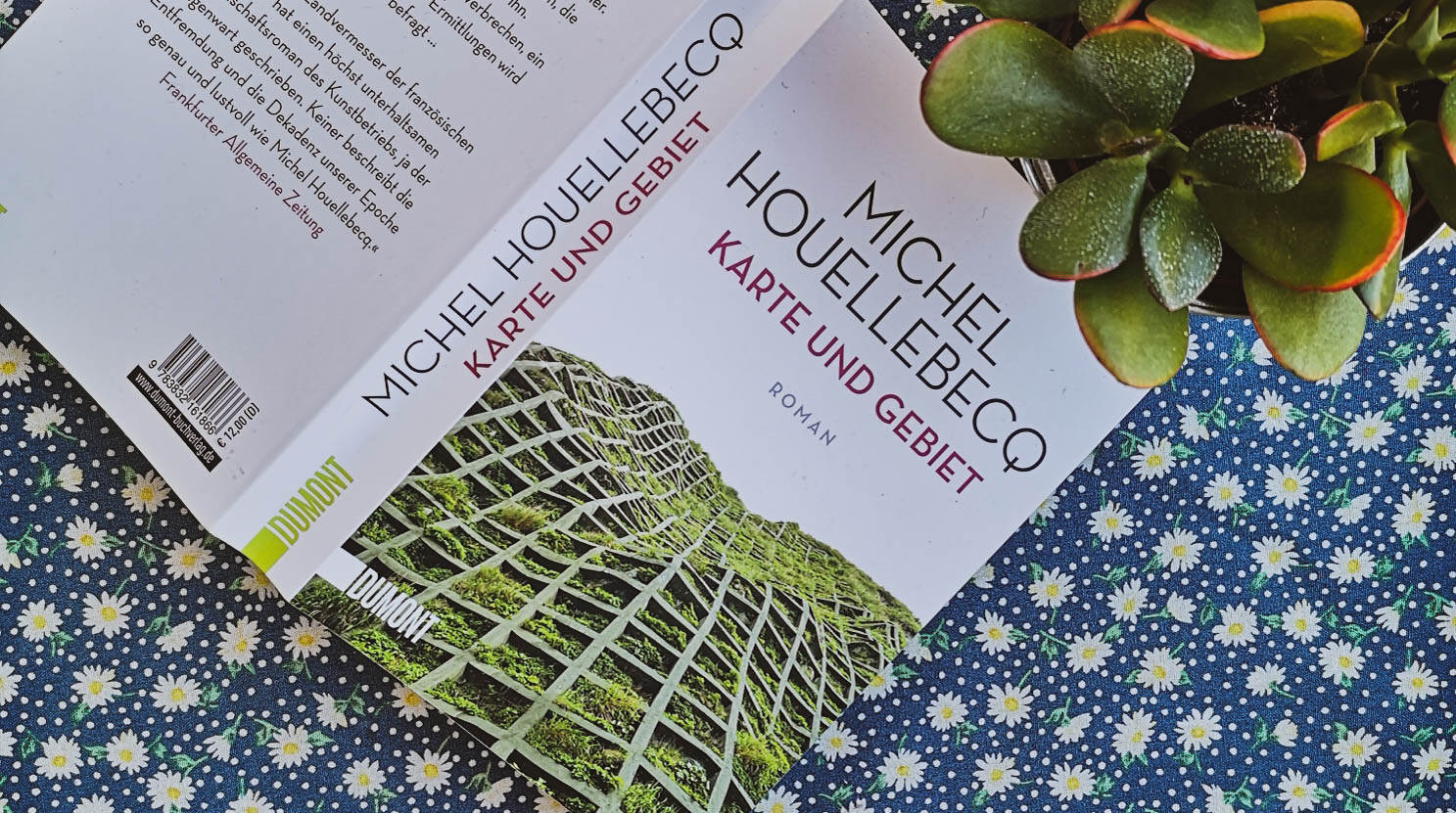 Literatur in 300 Wörtern (58) Michel Houellebecq Karte und Gebiet